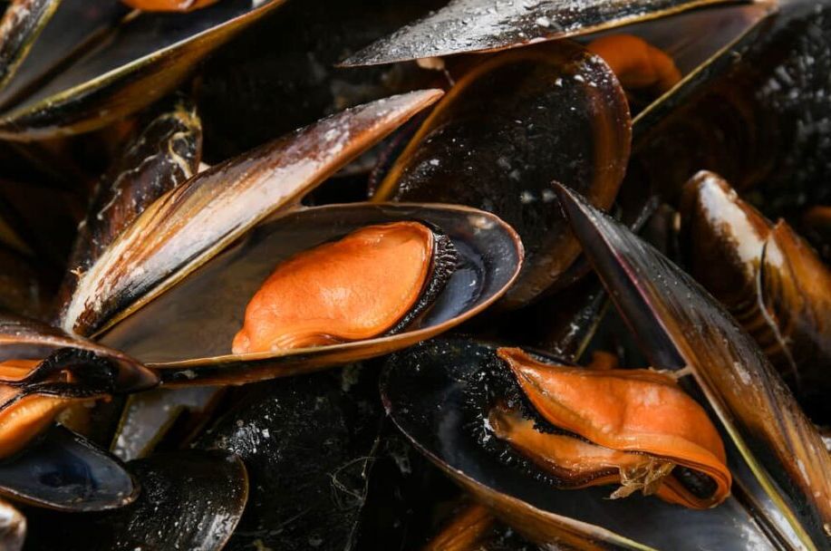 Empanada gallega artesana de mejillones Empanada gallega artesana de mejillones - Imagen 3